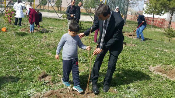 Atatürk İlkokulunda Meyve Fidanları Toprakla Buluştu.